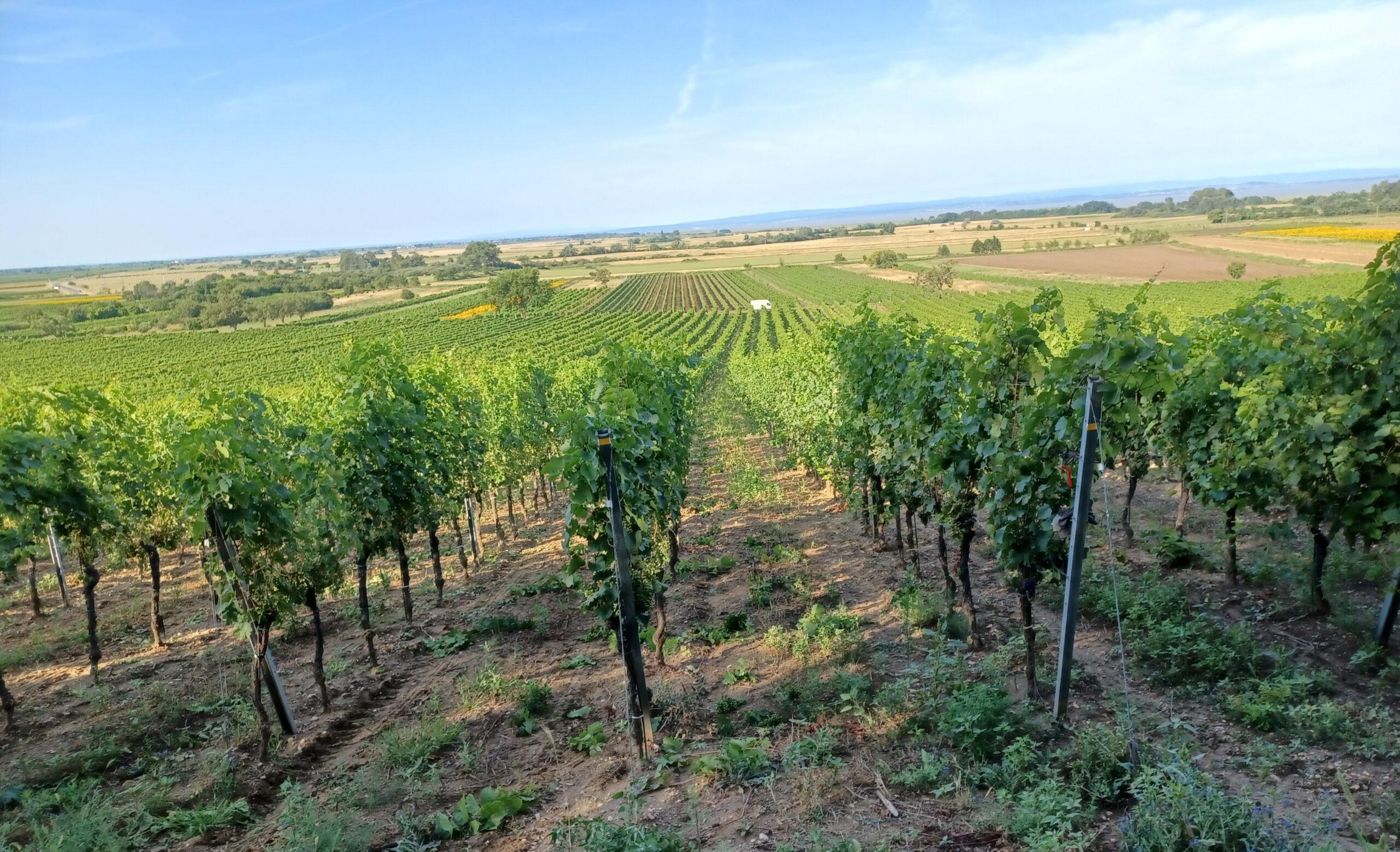 20240714_080045 - Kopie